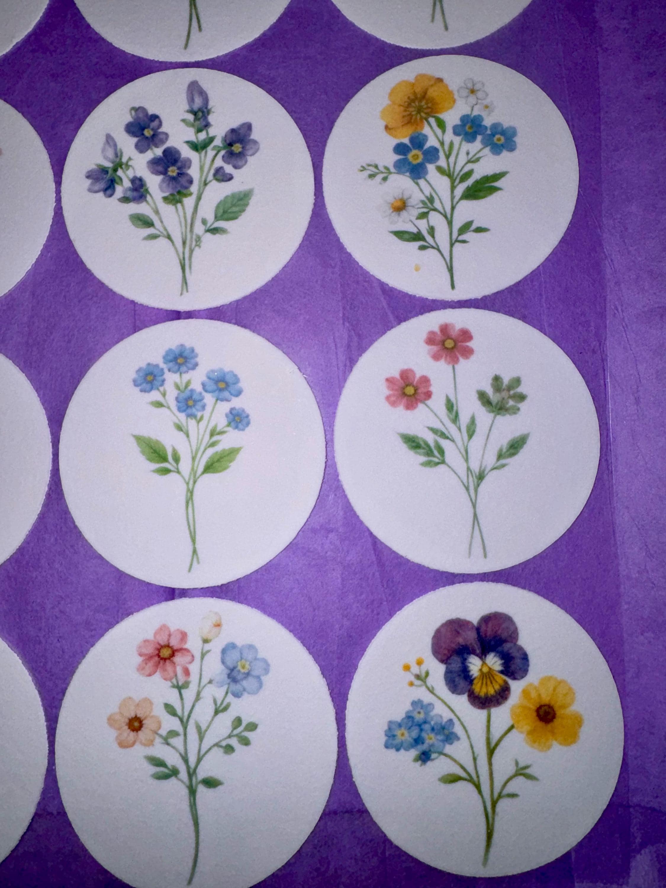 Pressed Flower Edible Cupcake Toppers Set of 12 Wafer Paper or Icing Sheet Wildflower Designs Wedding, Bridal Shower, Garden Party Cake Decor