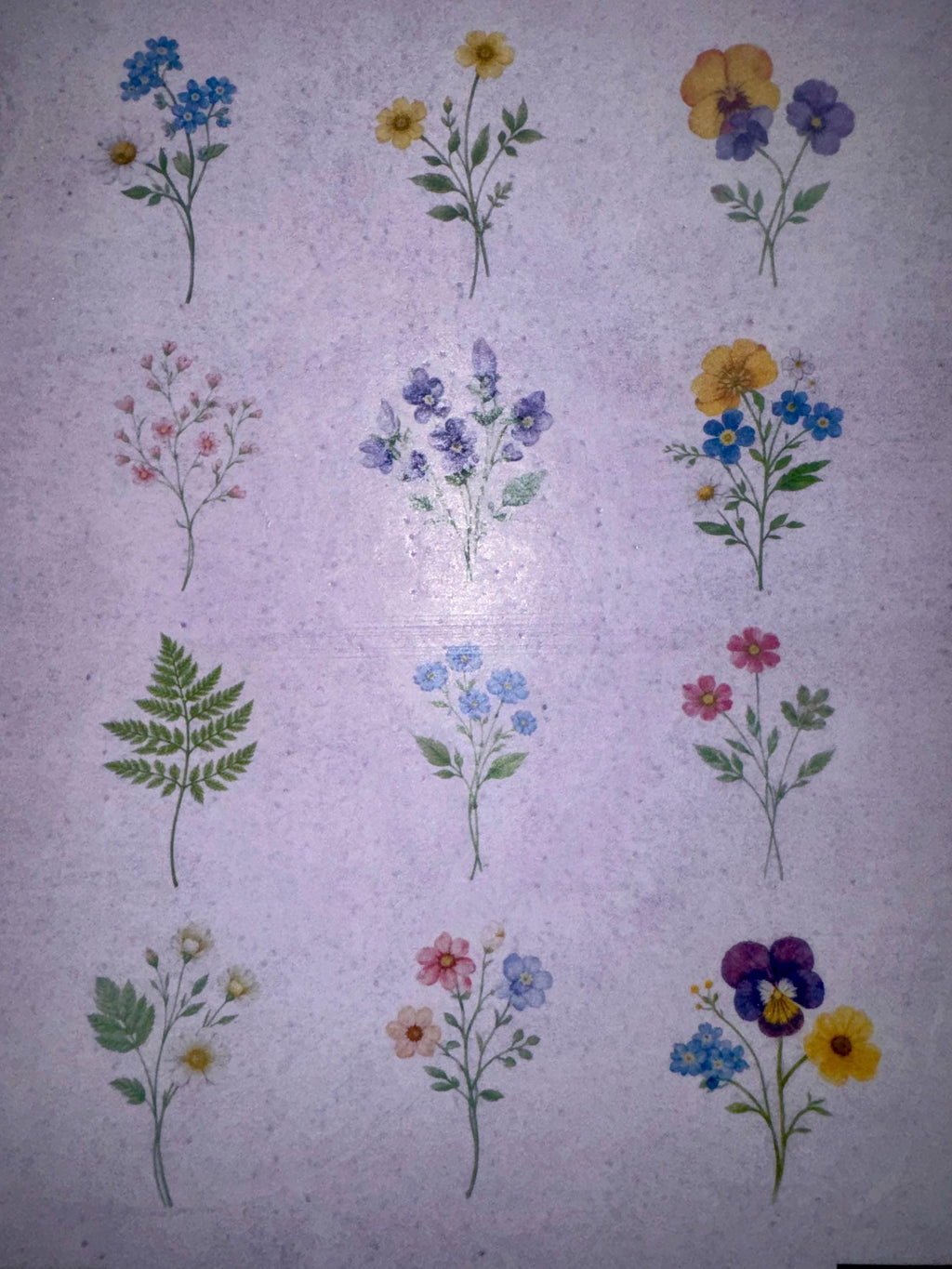 Pressed Flower Edible Cupcake Toppers Set of 12 Wafer Paper or Icing Sheet Wildflower Designs Wedding, Bridal Shower, Garden Party Cake Decor