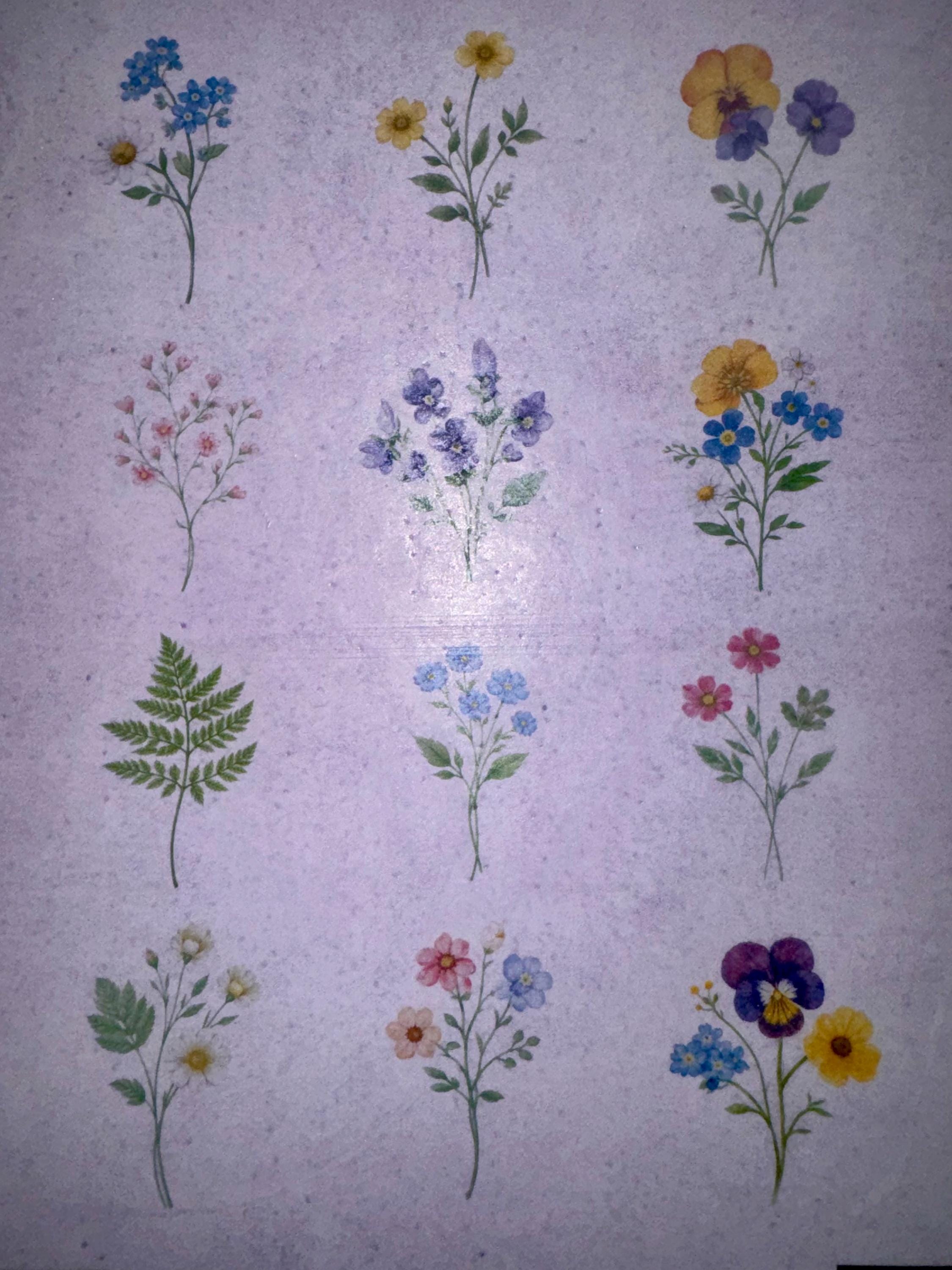 Pressed Flower Edible Cupcake Toppers Set of 12 Wafer Paper or Icing Sheet Wildflower Designs Wedding, Bridal Shower, Garden Party Cake Decor