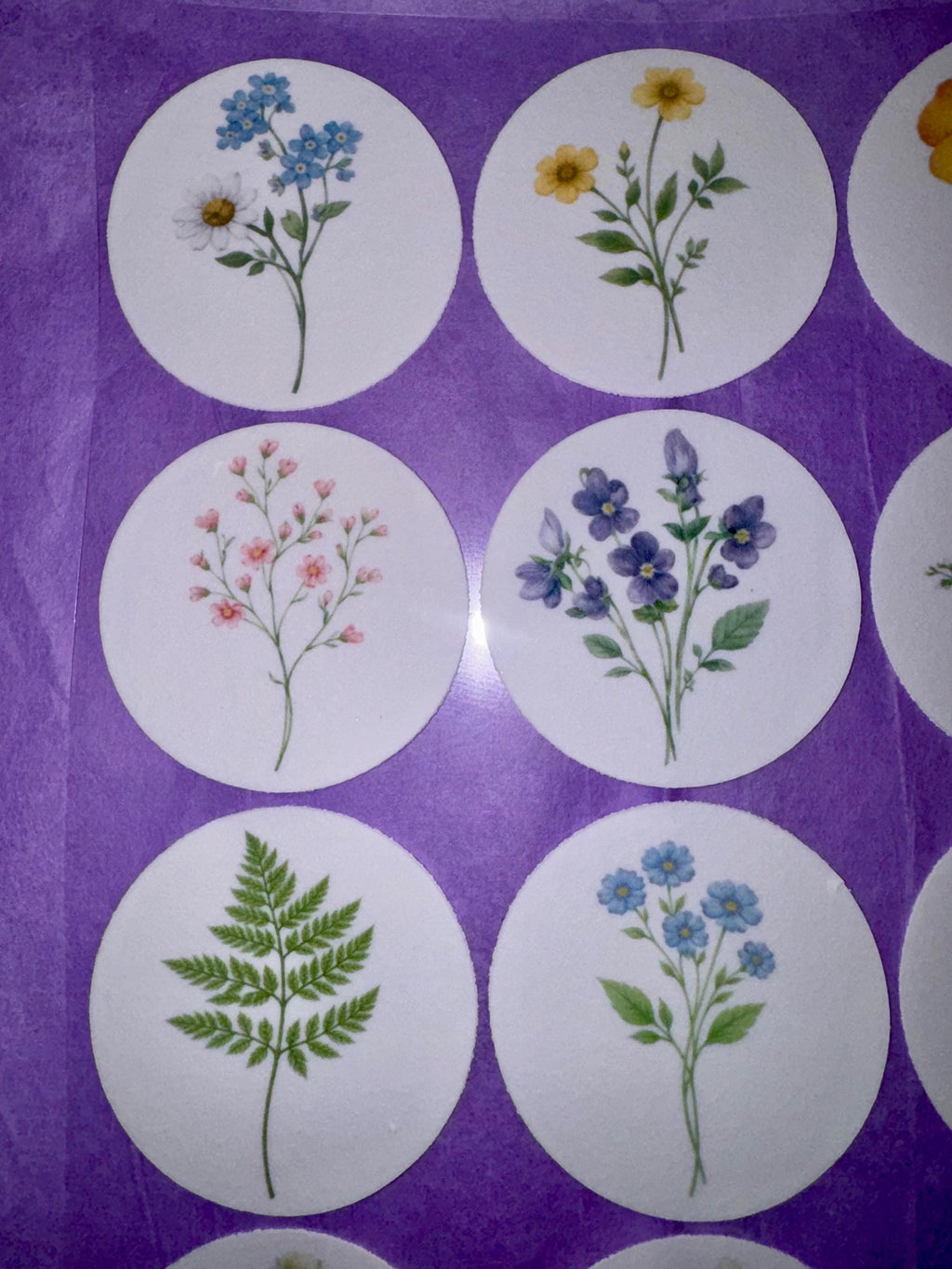 Pressed Flower Edible Cupcake Toppers Set of 12 Wafer Paper or Icing Sheet Wildflower Designs Wedding, Bridal Shower, Garden Party Cake Decor