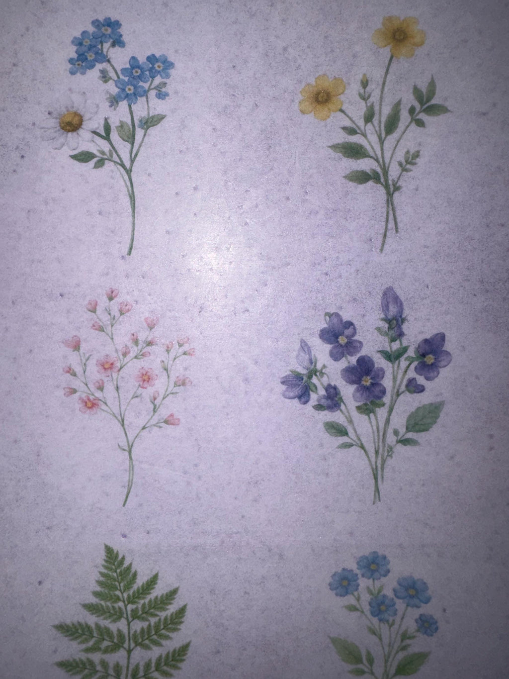 Pressed Flower Edible Cupcake Toppers Set of 12 Wafer Paper or Icing Sheet Wildflower Designs Wedding, Bridal Shower, Garden Party Cake Decor