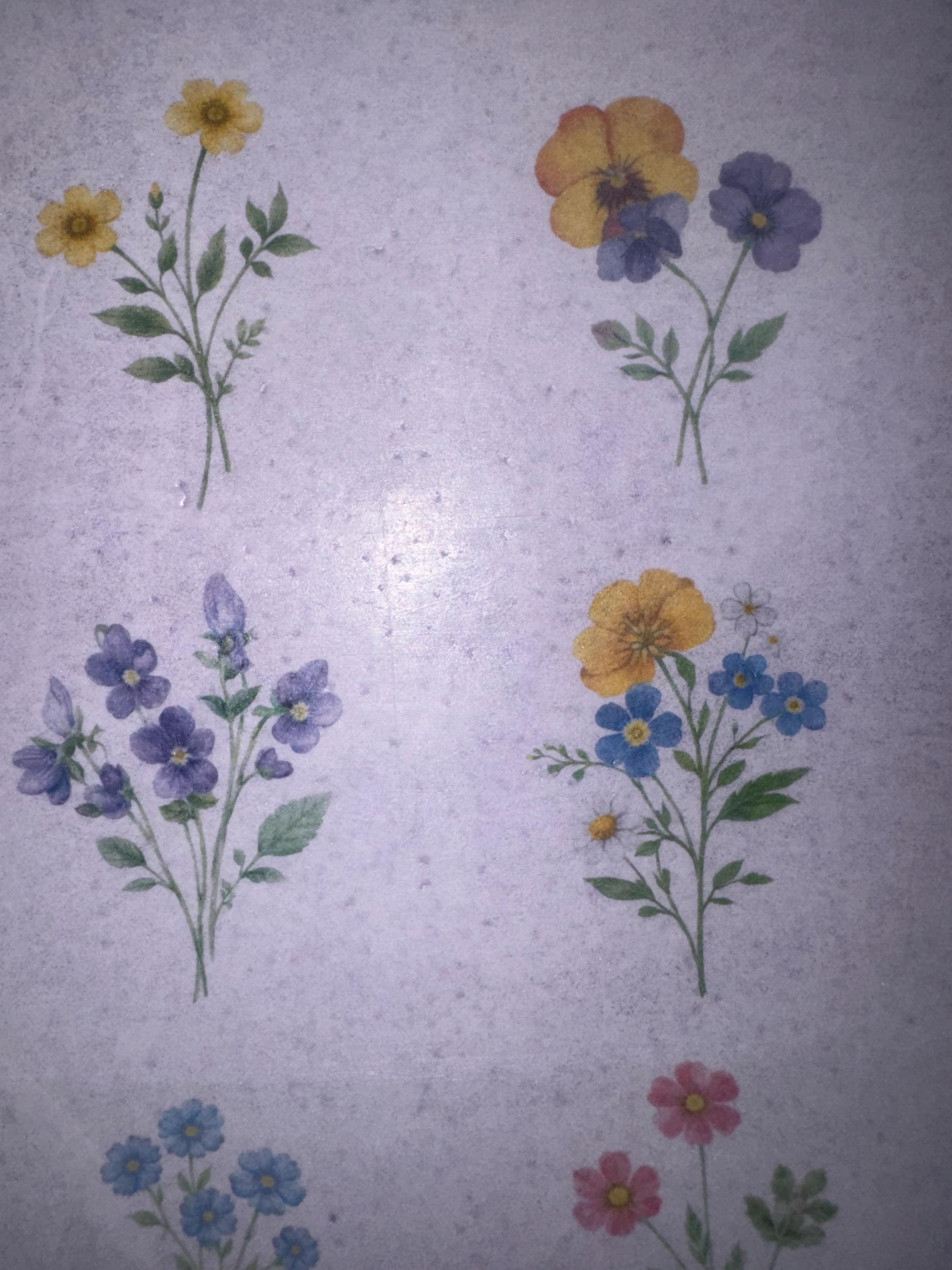Pressed Flower Edible Cookie Toppers Set of 12 Wafer Paper or Icing Sheet Wildflower Designs Wedding, Bridal Shower, Garden Party Cake Decor