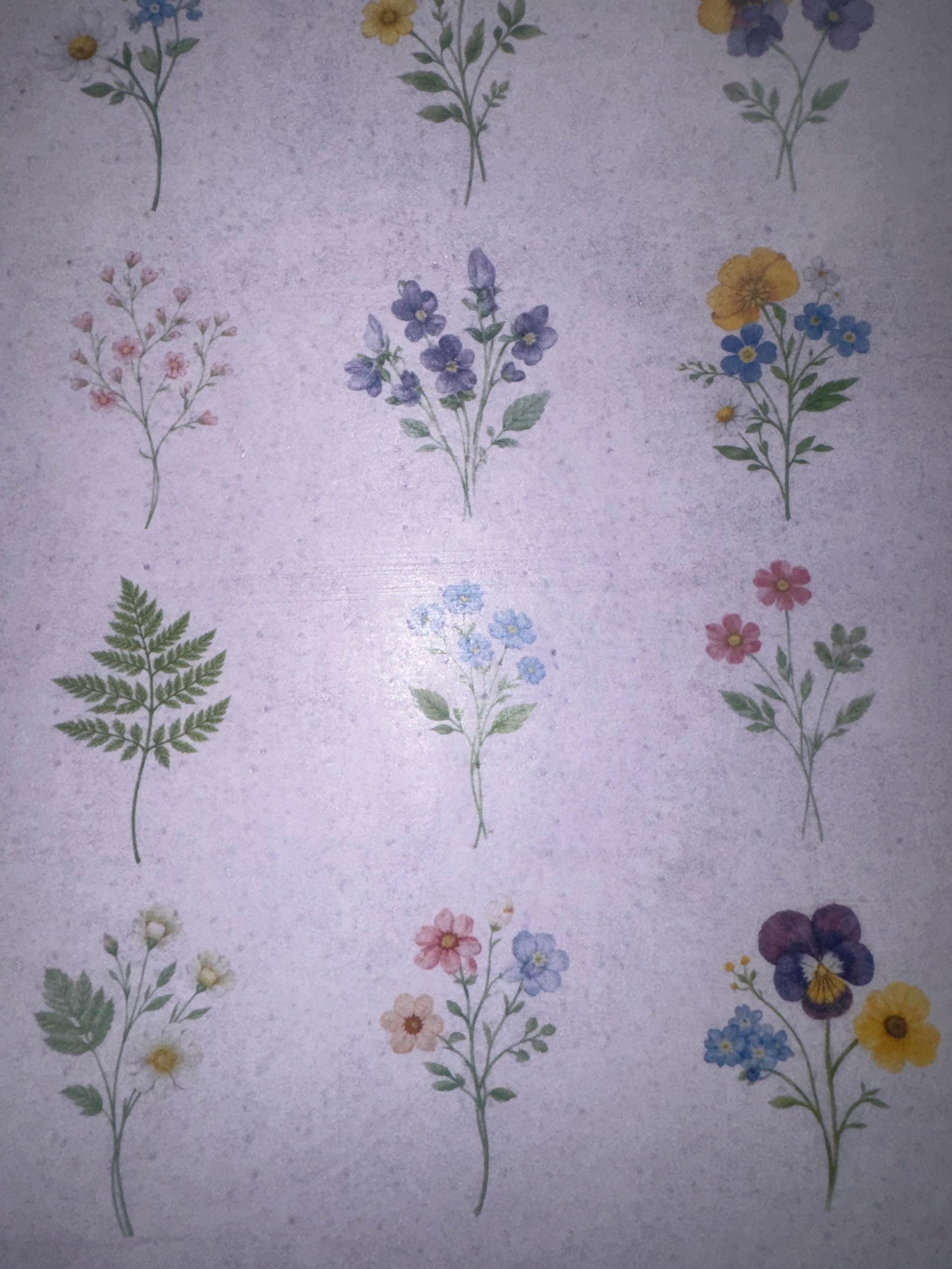 Pressed Flower Edible Cupcake Toppers Set of 12 Wafer Paper or Icing Sheet Wildflower Designs Wedding, Bridal Shower, Garden Party Cake Decor