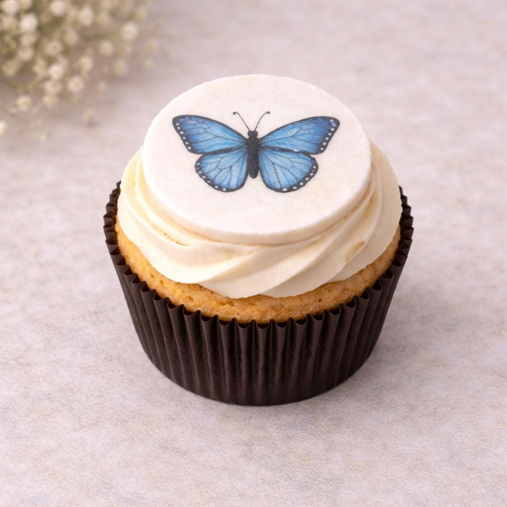 Edible Insect Cupcake Toppers – Set of 12 Wafer Paper or Icing Sheet Butterflies Bees Dragonflies Ladybugs Garden Party Decor