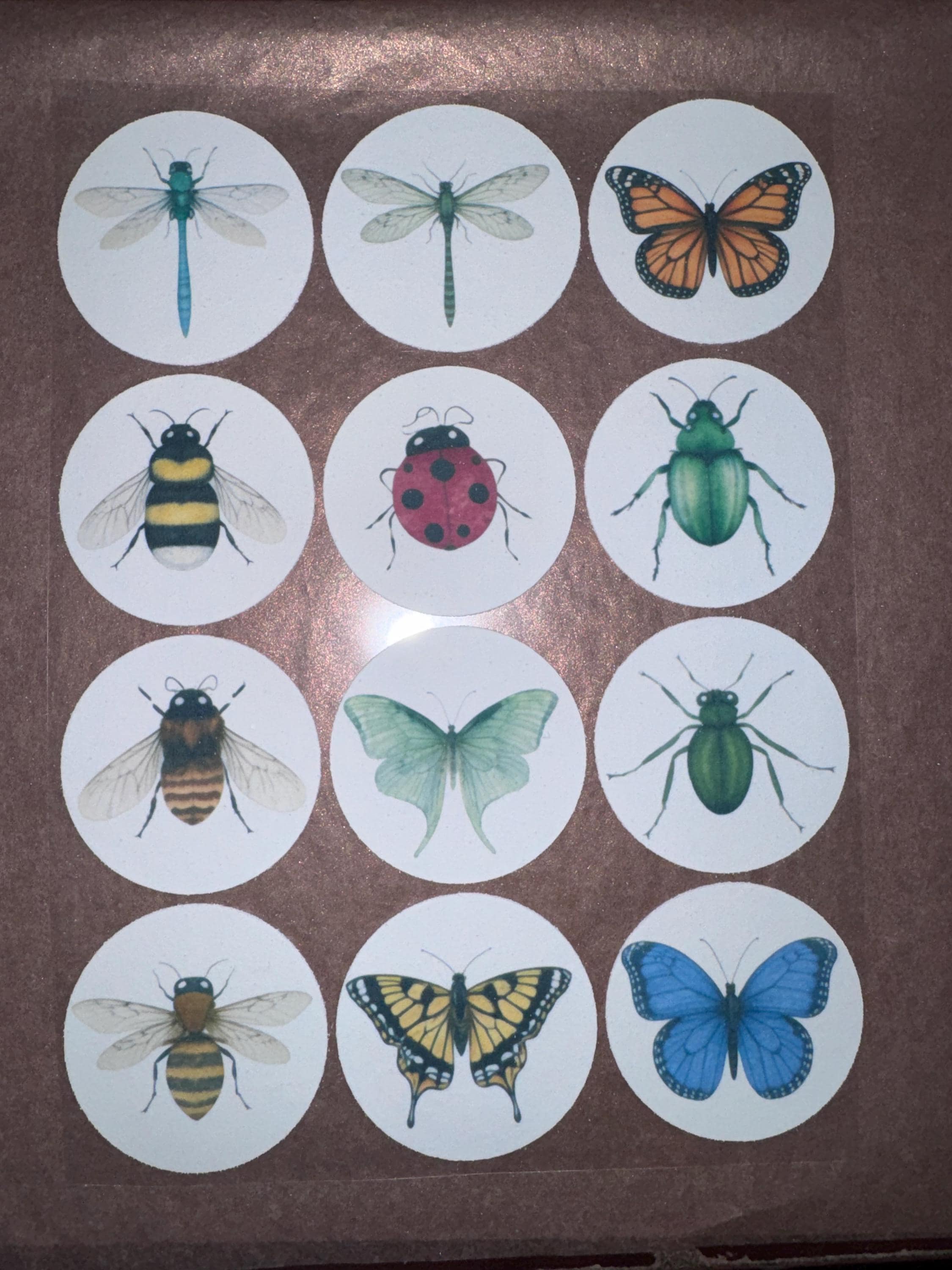 Edible Insect Cupcake Toppers – Set of 12 Wafer Paper or Icing Sheet Butterflies Bees Dragonflies Ladybugs Garden Party Decor Edible Insect Cupcake Toppers Vintage Butterfly Bee Dragonfly Designs Wafer Paper Icing Sheet