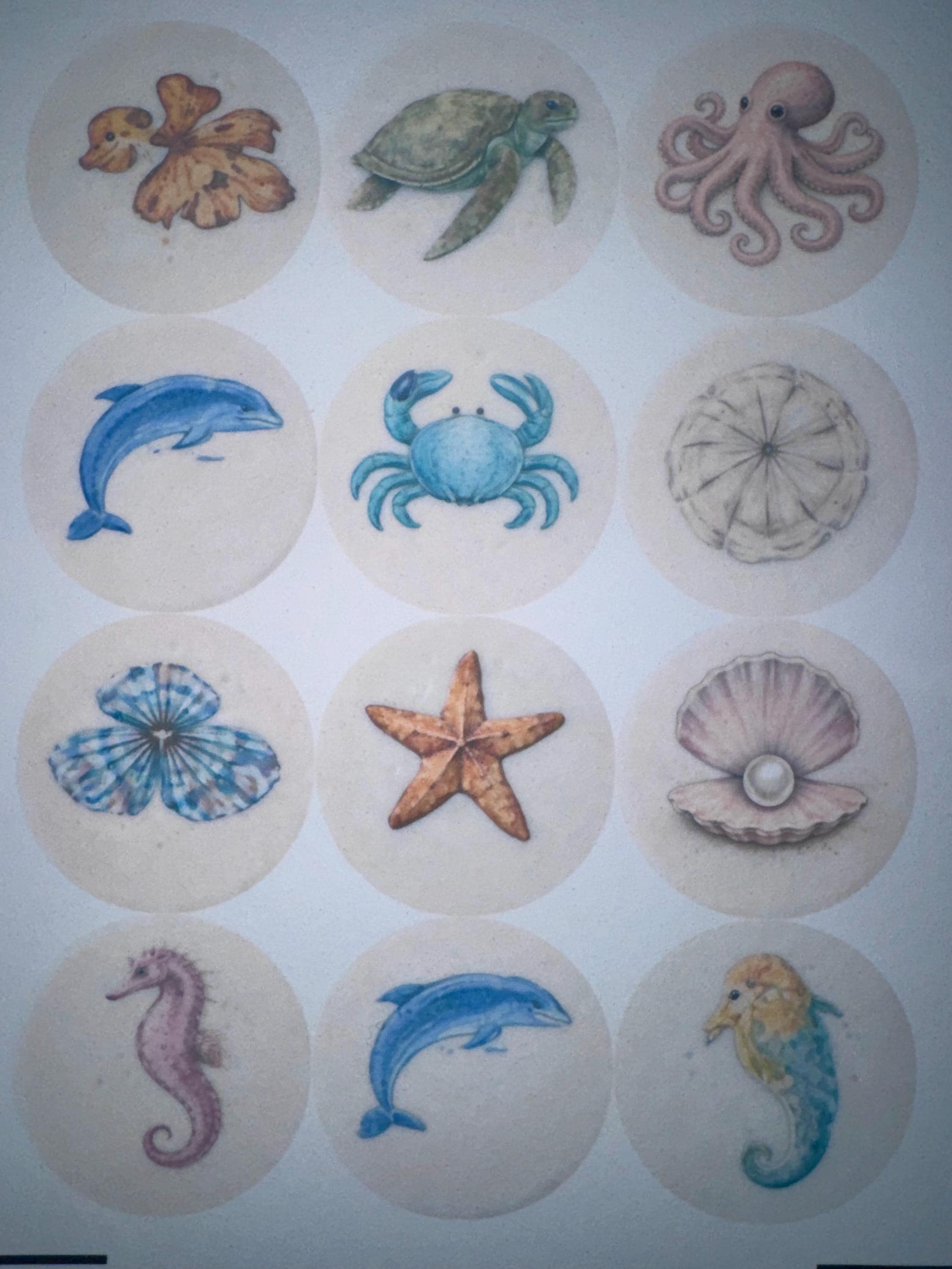 Bespoke Sea Creature Cupcake Toppers Wafer Paper or Icing Sheet Ocean Designs Beach Wedding Party Set of 12