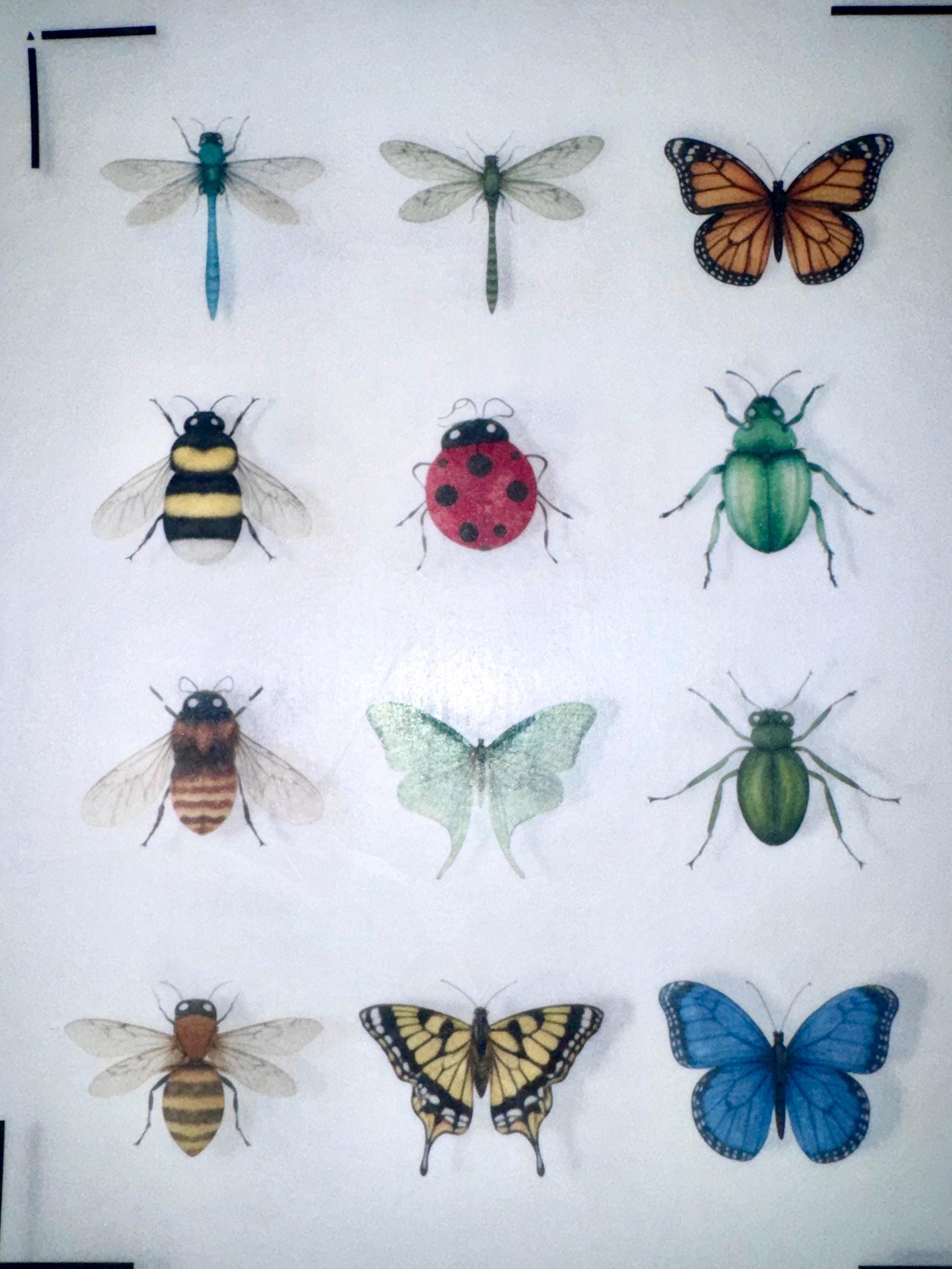 Edible Insect Cupcake Toppers – Set of 12 Wafer Paper or Icing Sheet Butterflies Bees Dragonflies Ladybugs Garden Party Decor Edible Insect Cupcake Toppers Vintage Butterfly Bee Dragonfly Designs Wafer Paper Icing Sheet