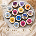 Elegant edible pansy cupcake toppers on white frosted cupcakes featuring watercolor-style floral pansy designs in purple, blue, yellow, and pink tones for bridal showers, tea parties, baby showers, and garden party desserts.
