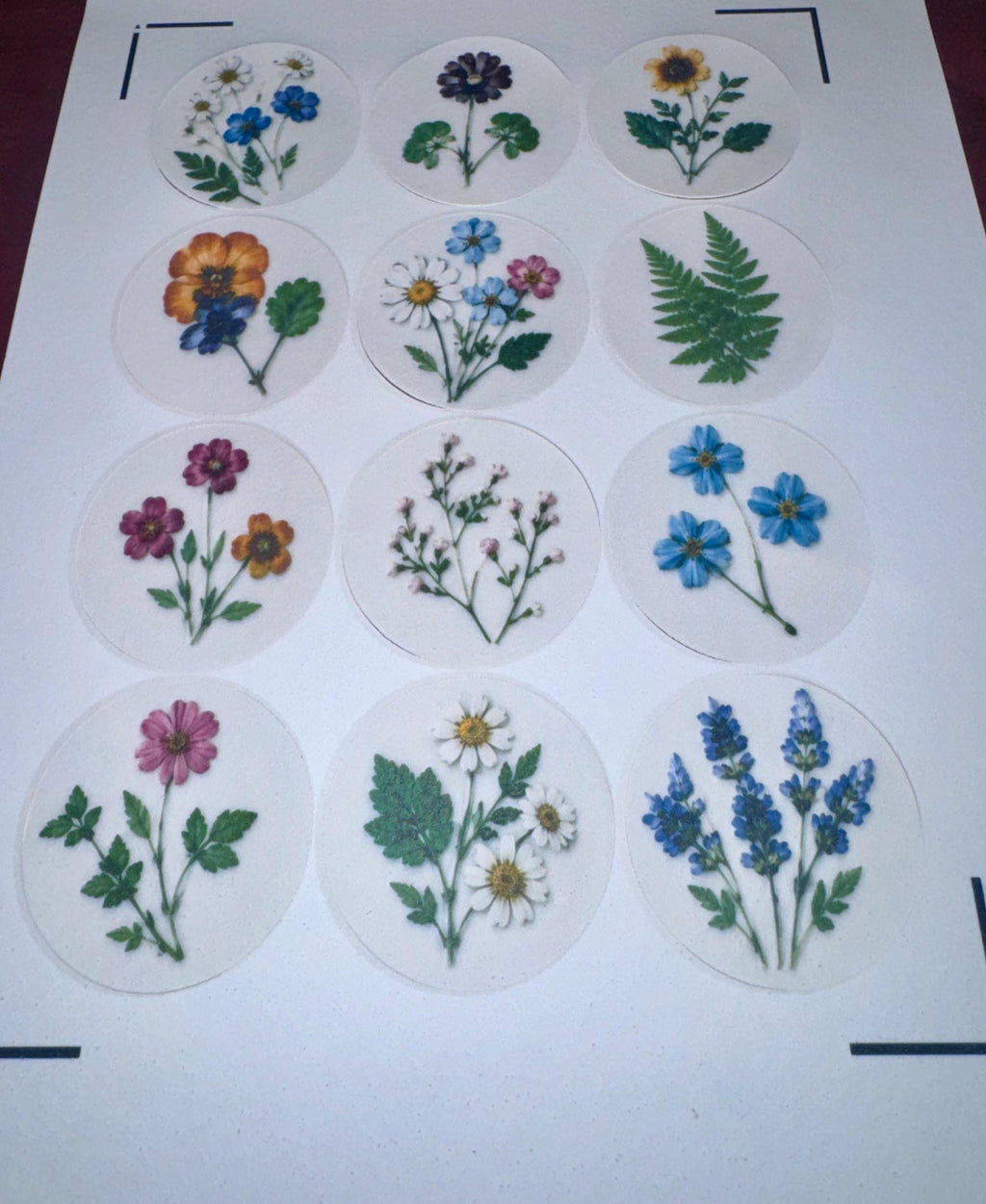 Pressed Flower Edible Cookie Toppers Set of 12 Wafer Paper or Icing Sheet Wildflower Designs Wedding, Bridal Shower, Garden Party Cake Decor
