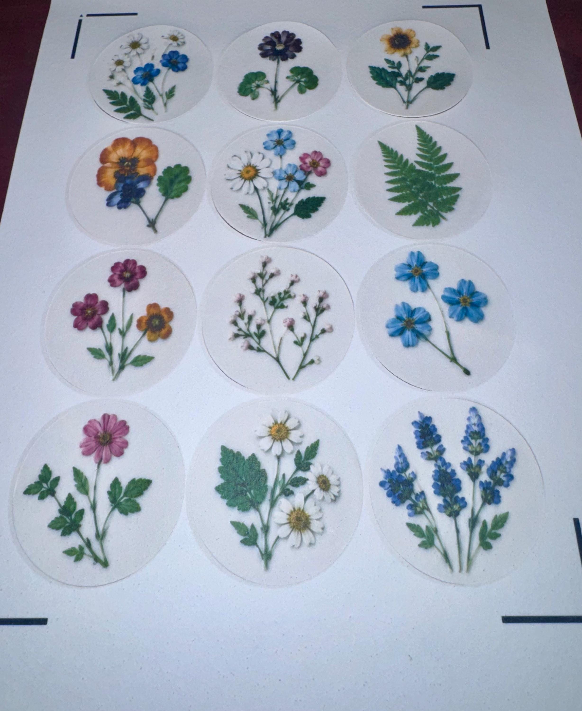 Pressed Flower Edible Cookie Toppers Set of 12 Wafer Paper or Icing Sheet Wildflower Designs Wedding, Bridal Shower, Garden Party Cake Decor
