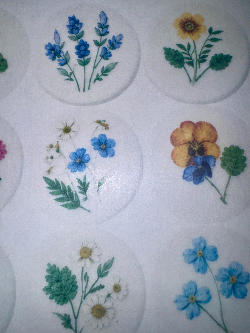 Pressed Flower Edible Cookie Toppers Set of 12 Wafer Paper or Icing Sheet Wildflower Designs Wedding, Bridal Shower, Garden Party Cake Decor