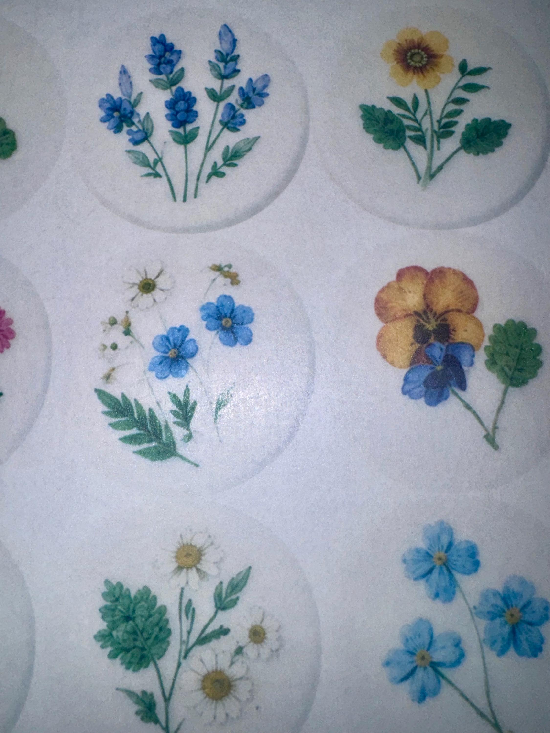 Pressed Flower Edible Cookie Toppers Set of 12 Wafer Paper or Icing Sheet Wildflower Designs Wedding, Bridal Shower, Garden Party Cake Decor