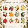 Set of 12 pressed fruit and botanical edible cupcake toppers featuring watercolor strawberries, figs, pears, citrus slices, cherries, berries, and greenery on 2-inch precut circles available in icing sheets or wafer paper.