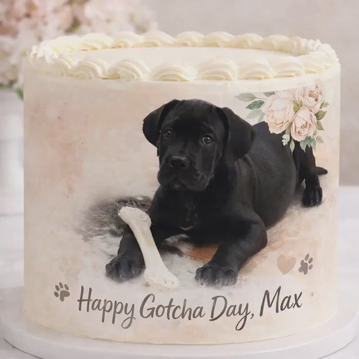 CUSTOM Dog Photo Cake Wrap: EDIBLE FROSTING Sheet, Pet Birthday Gotcha Day Cake Decoration