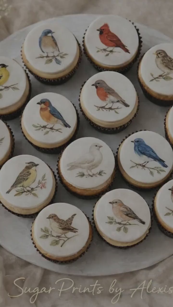 BIRD Cupcake Toppers: EDIBLE Vintage BOTANICAL Watercolor Decor, Wafer Frosting Sheets, Set Of 12