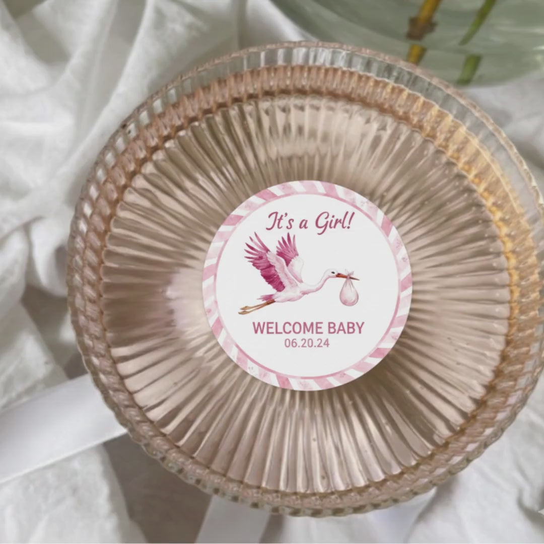 BABY SHOWER Drink Toppers Stork Design: EDIBLE Wafer Paper Circles, Pink Blue Floating Party Decorations