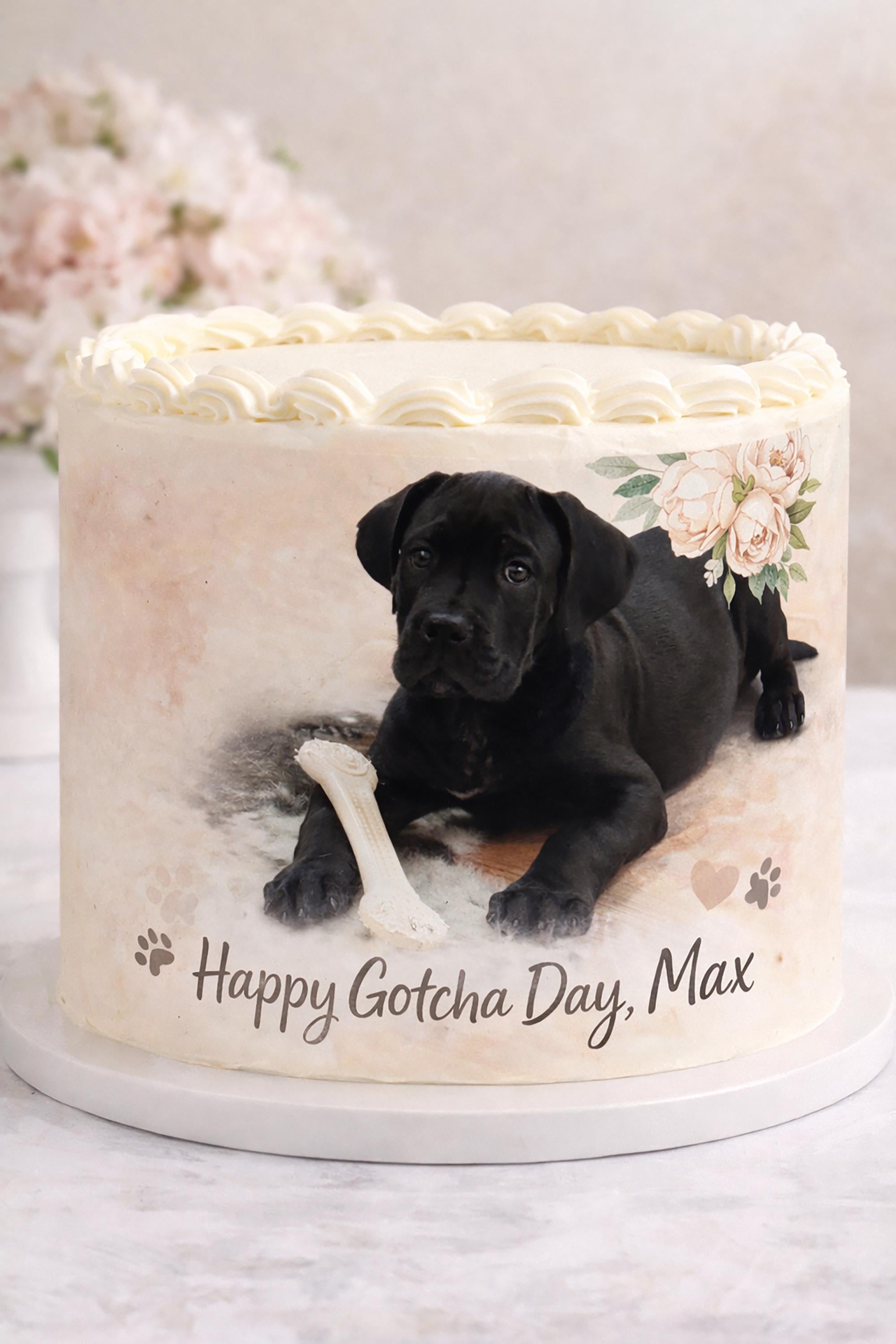 Custom dog photo cake wrap made of edible frosting sheet for pet birthday or Gotcha Day, featuring a personalized dog image.