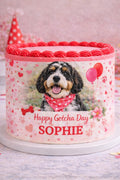 Custom dog photo cake wrap on edible frosting sheet for pet birthday or gotcha day, featuring a round design with a pet image.