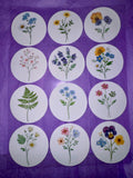 Set of 12 edible pressed wildflower cupcake toppers for bridal shower, made of wafer paper by SugarPrints by Alexis.