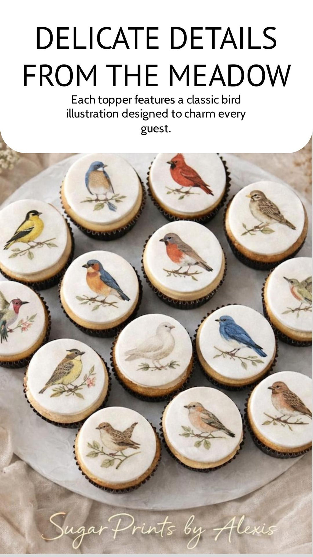 Set of 12 vintage botanical bird cupcake toppers on edible wafer paper by SugarPrints by Alexis, perfect for decorating cupcakes.