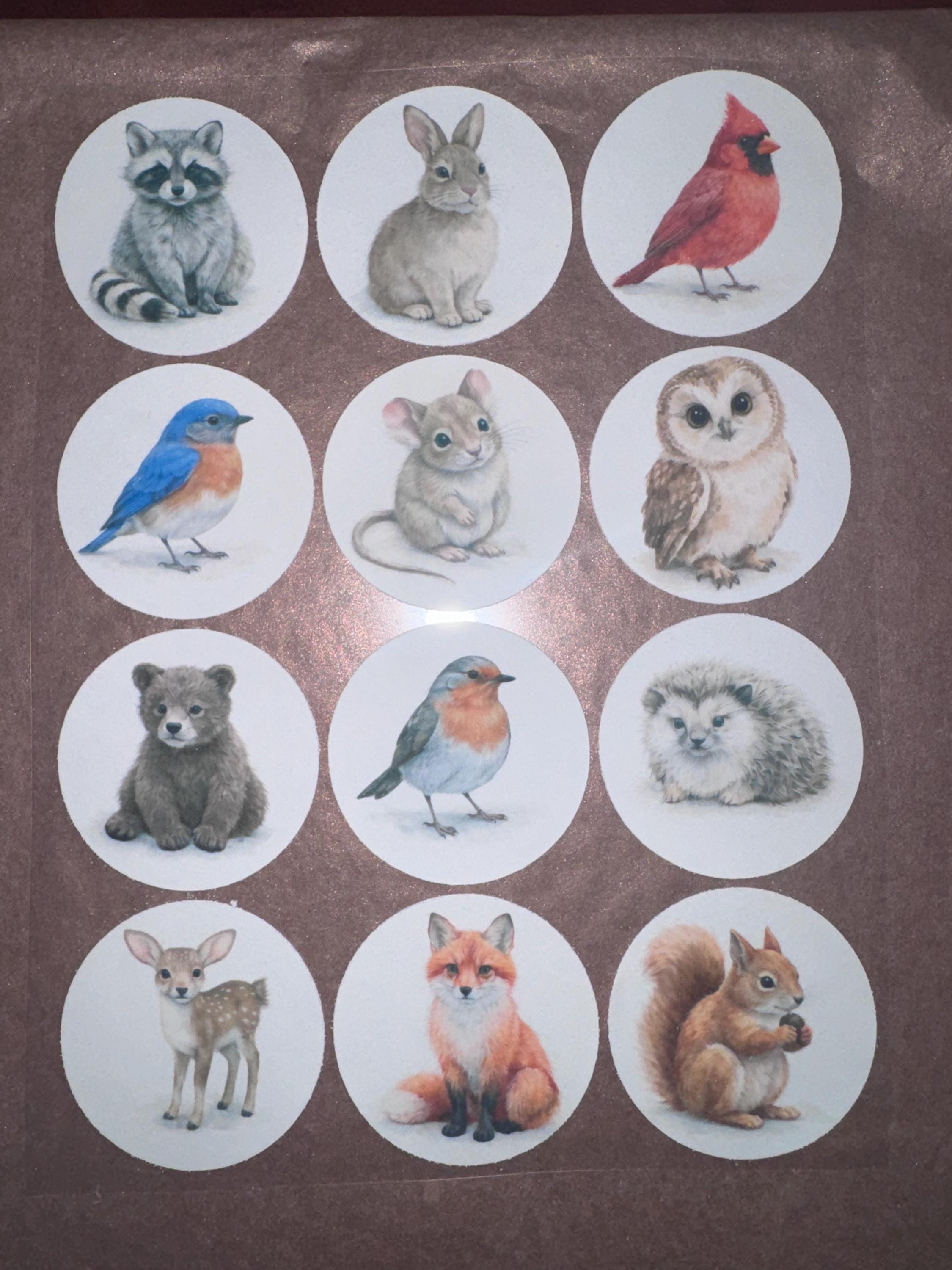 Edible wafer paper woodland animal cupcake toppers featuring forest creatures for baby showers and birthdays.