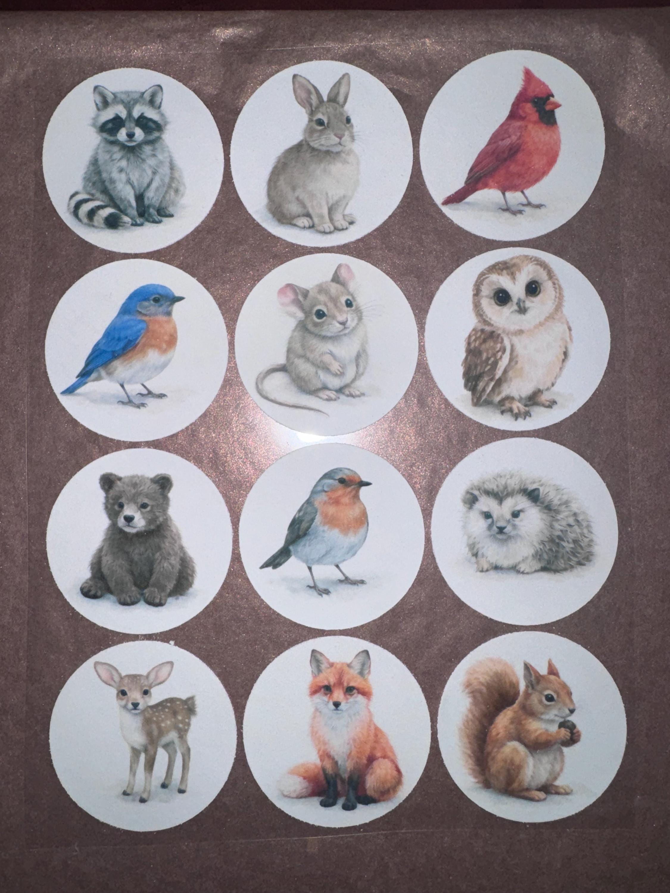 Edible wafer paper cupcake toppers featuring woodland animals like foxes, owls, and deer for baby showers and birthdays.
