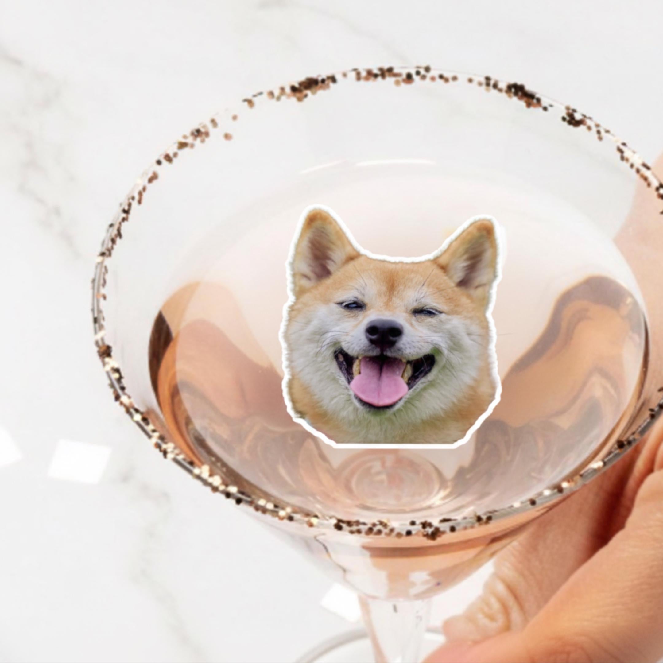 Edible wafer paper drink toppers cut to a pet silhouette floating on a latte.