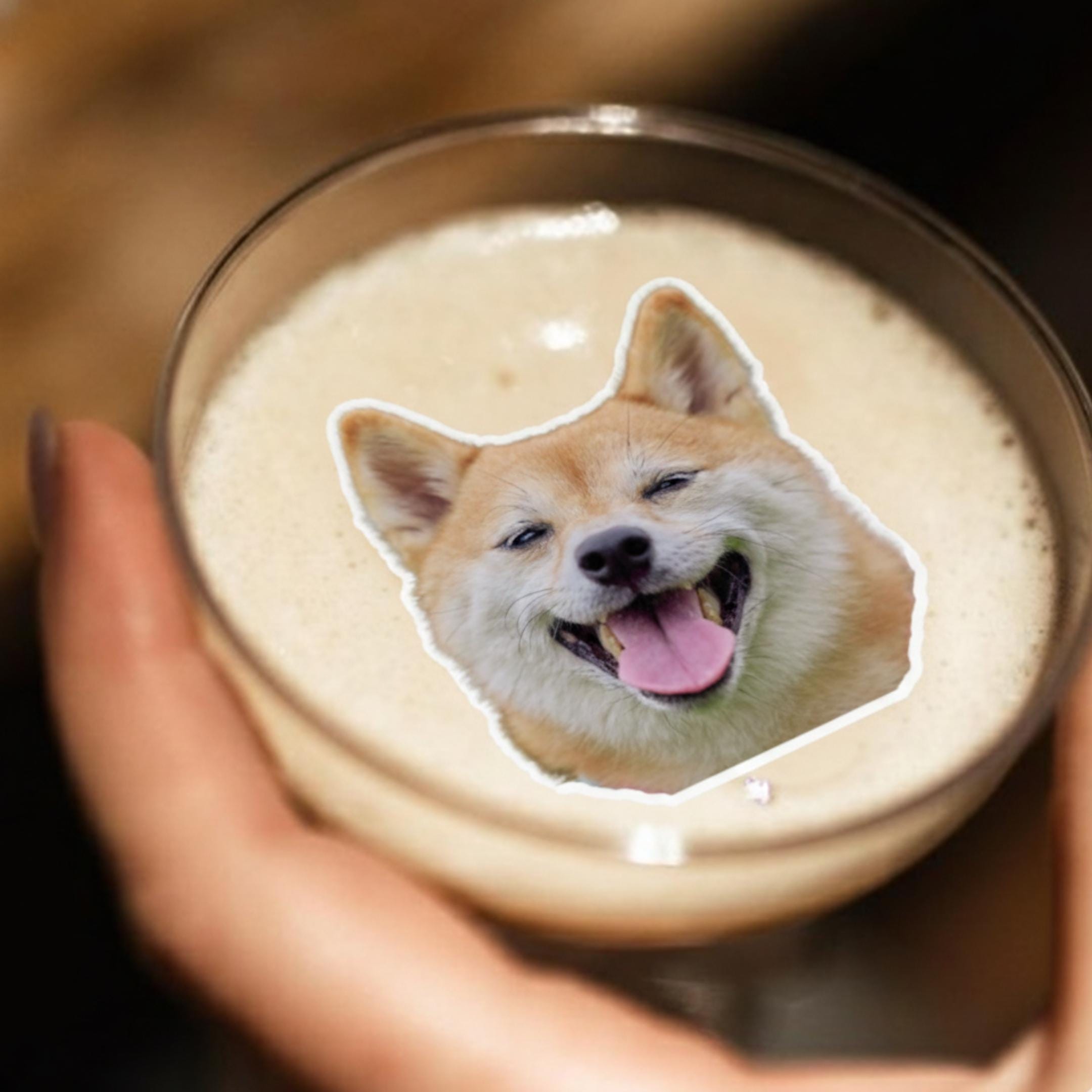 Edible wafer paper drink toppers cut to a pet silhouette floating on a latte.
