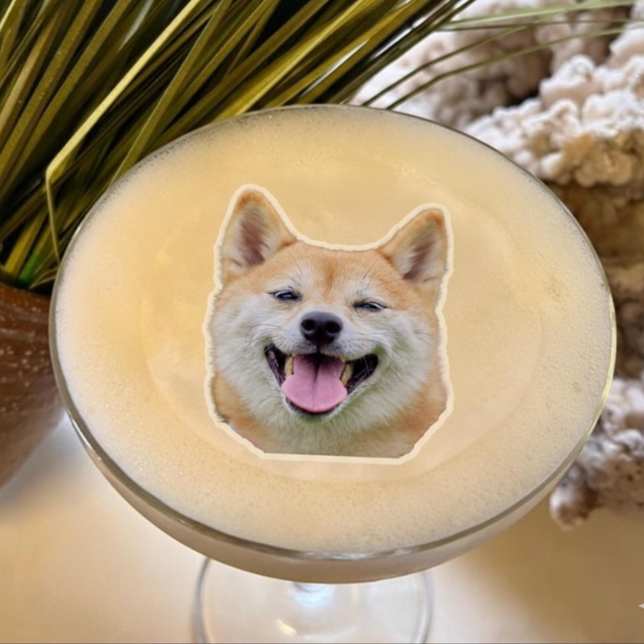 Edible wafer paper drink toppers cut to a pet silhouette floating on a latte.